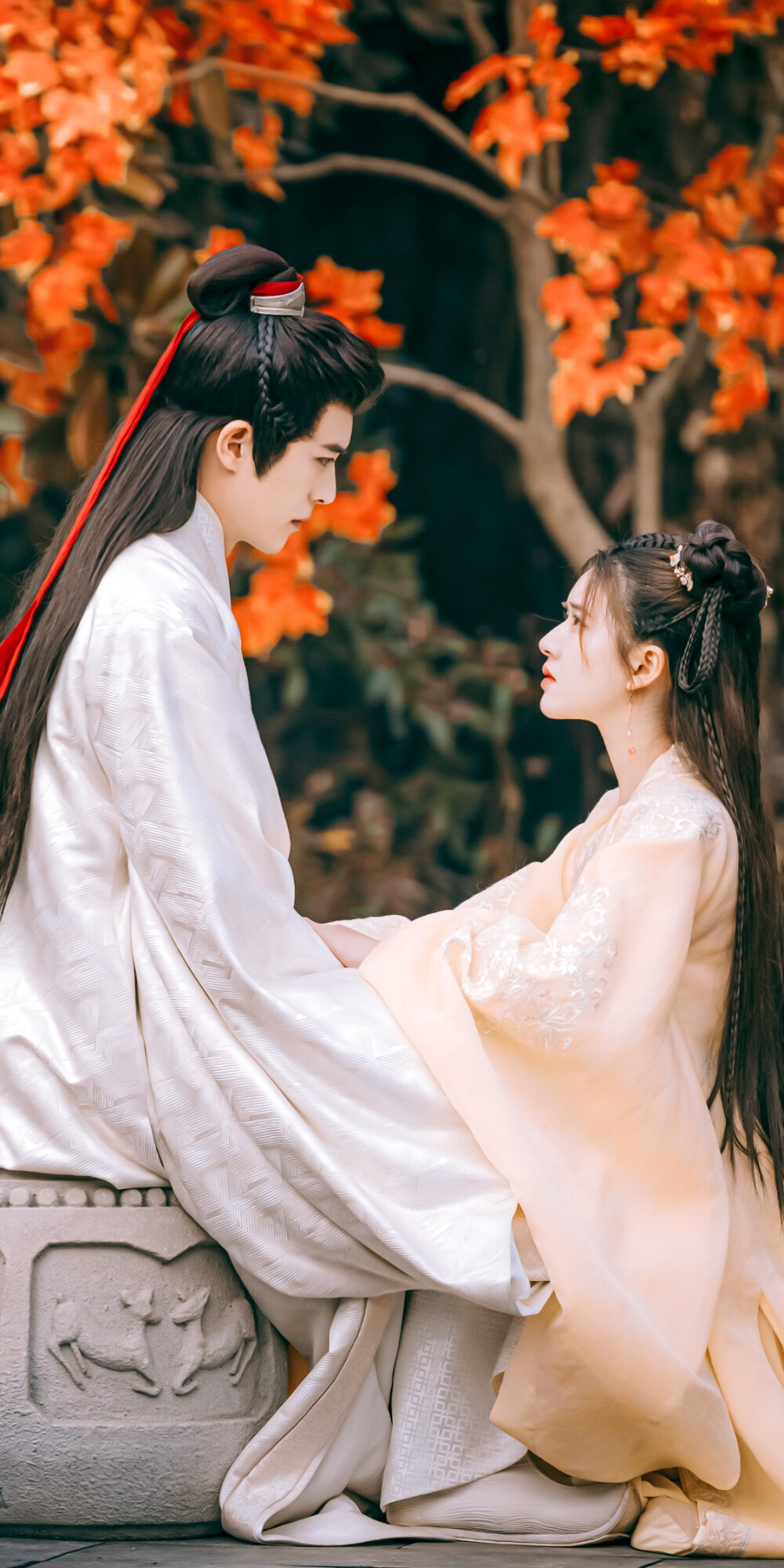 国子监来了个女弟子