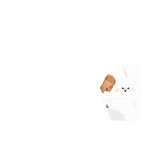 图源不详