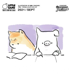 猪猪