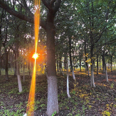 看过的山太多了，想看海
/背景图