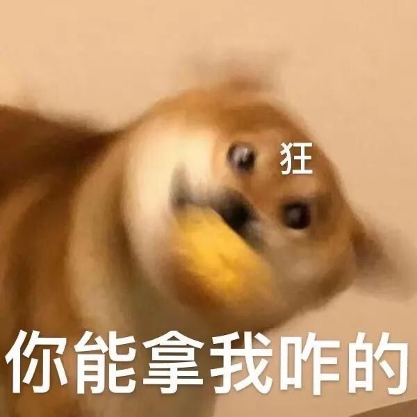 表情包