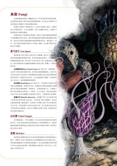 怪物图鉴 真菌
