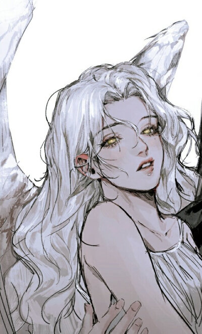 画师이복
twi：Evok99 ​​​