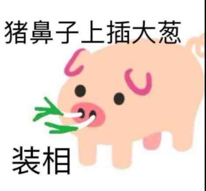 表情包