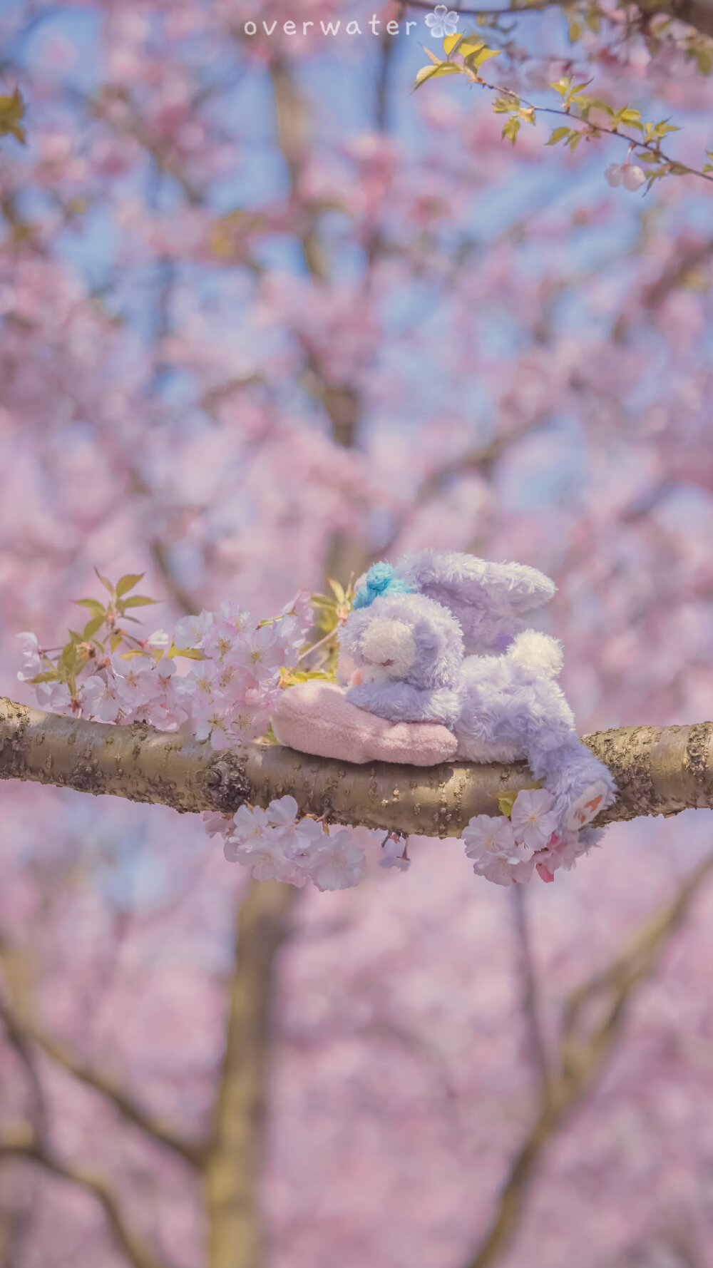 那天我梦见你了 我梦见你向我走来 你过得还好吗 我想你了