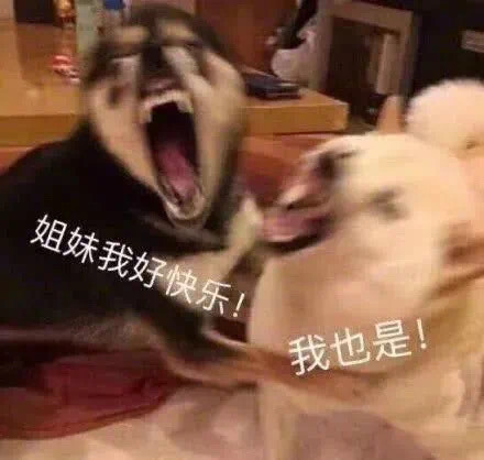 搞笑图片 沙雕