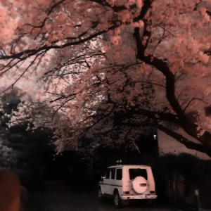     ɜ:
          我喜欢看山 看鲜花看黄昏 看日出日落 看月亮看路边小狗摇尾巴 可田柾国老喜欢喊我看路