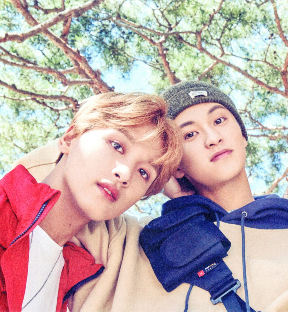NCT 李马克 李楷灿 马东 markchan markhyuck 传