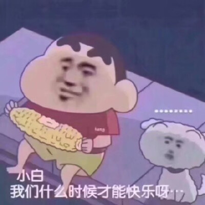 表情包