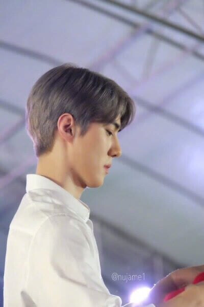 灿白勋耀睡觉惹8吴世勋发布到exo伯贤和狐狸一起玩3吴世勋发布到about