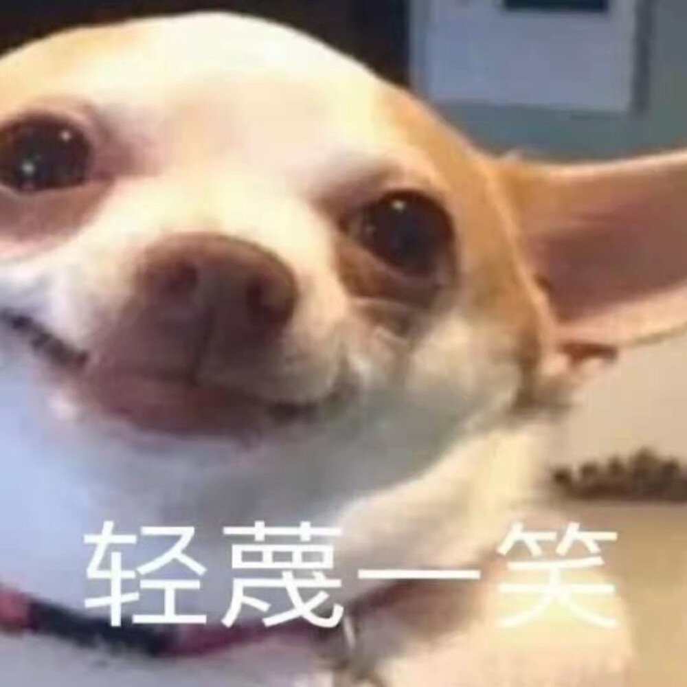 表情包