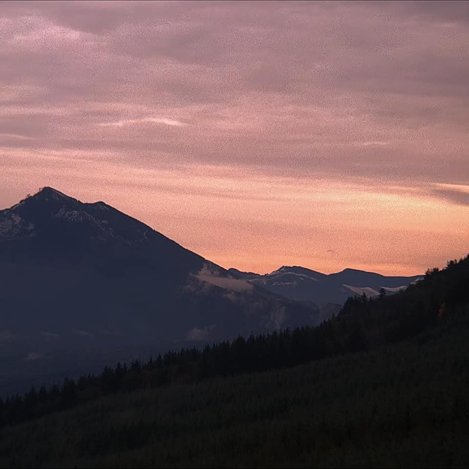 背景