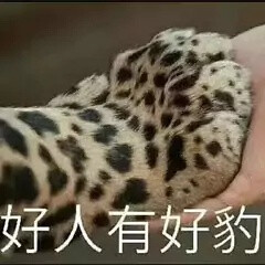 表情包