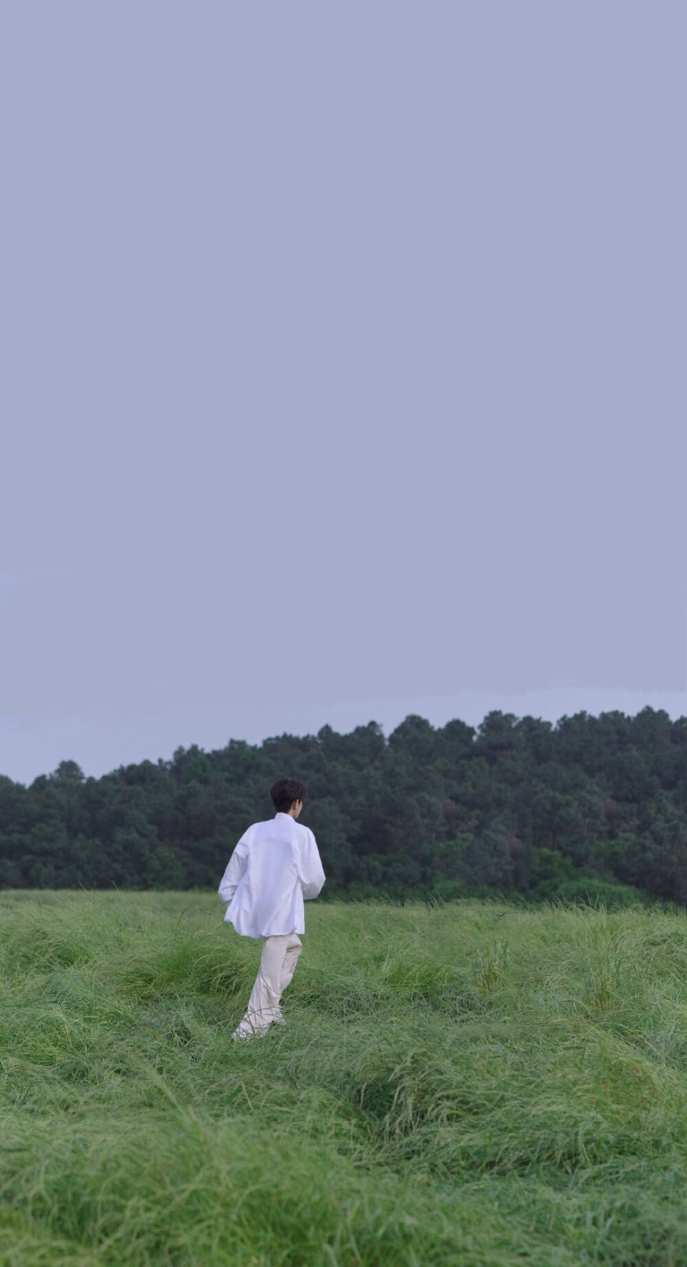 流星也为你落下来了