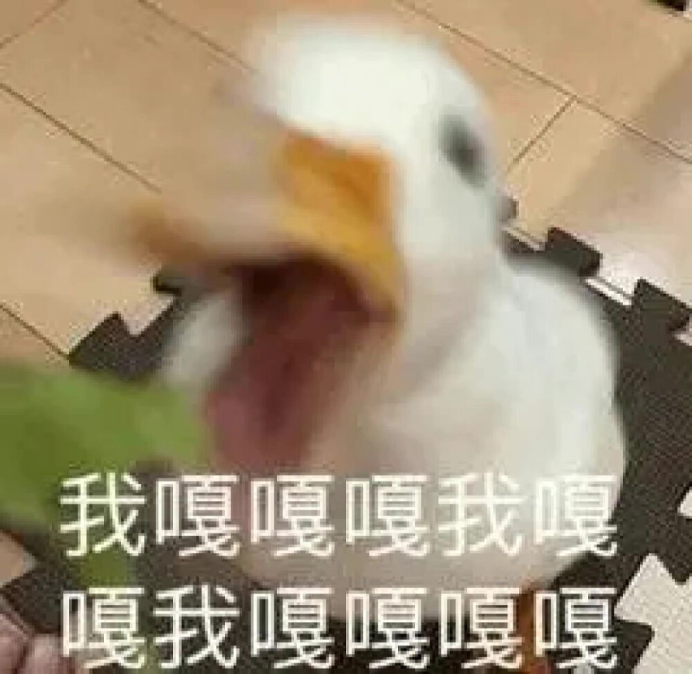 不可以色色