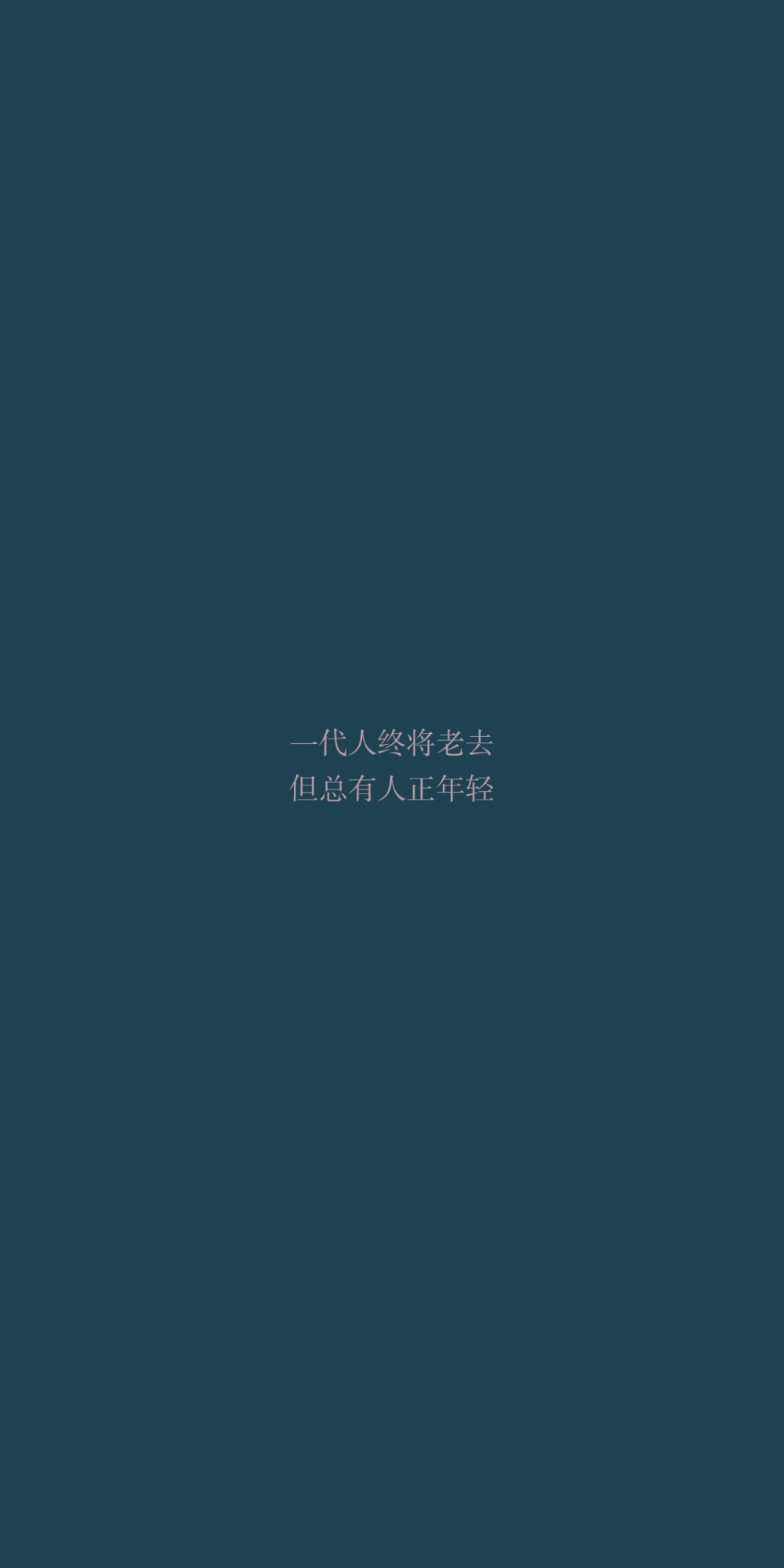 一代人终将老去
但总有人正年轻
——《火车驶向云外，梦安魂于九霄》刺猬乐队