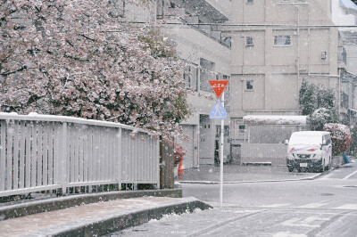 雪