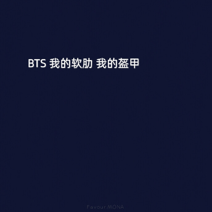 ◔BTS 二传注明花骑遗珠