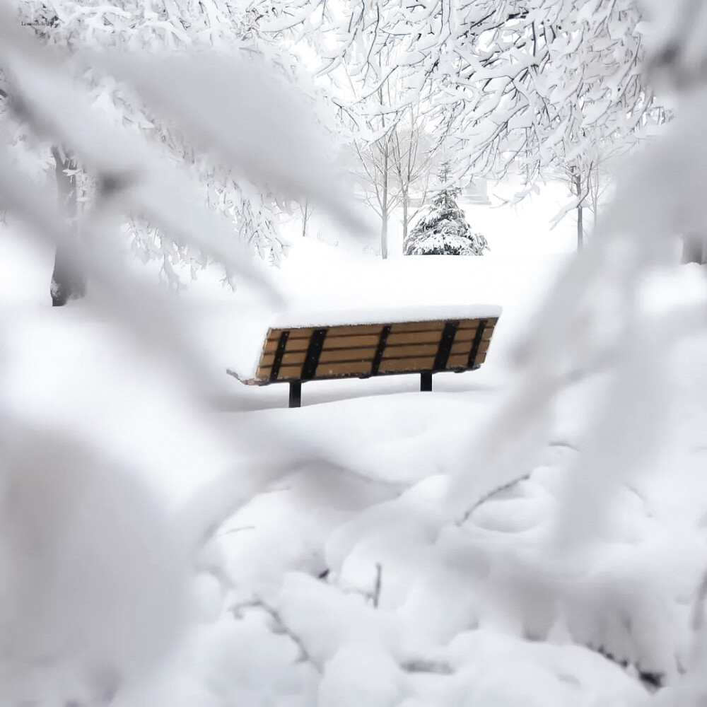  脚印（On the snow）./flee.