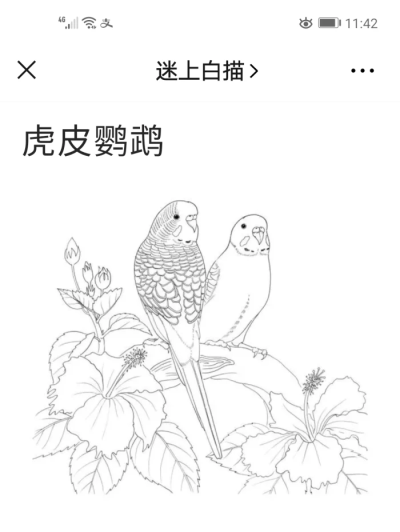 花鸟