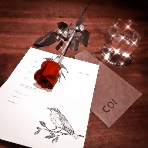 玫瑰凋零在风里情书四散在雨里
JUNGKOOK/田柾国  SUGA/闵玧其
cr.Enchanted_JK
©闵雨汐