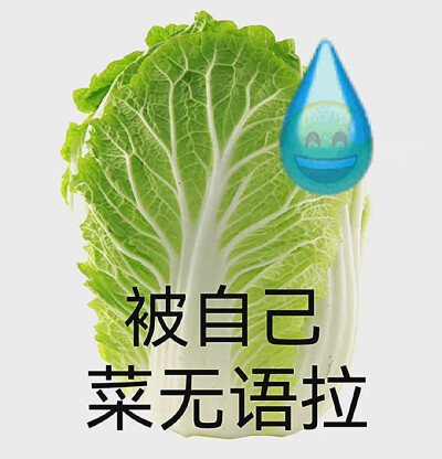 無語表情包 陰陽怪氣