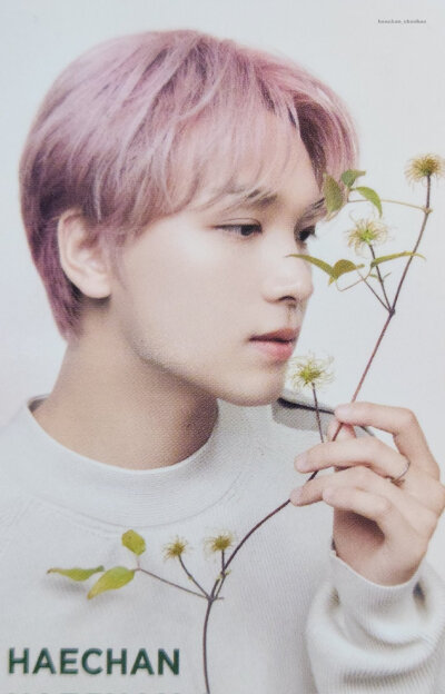 围脖找的/heachan/yuta/Johnny /nct 127