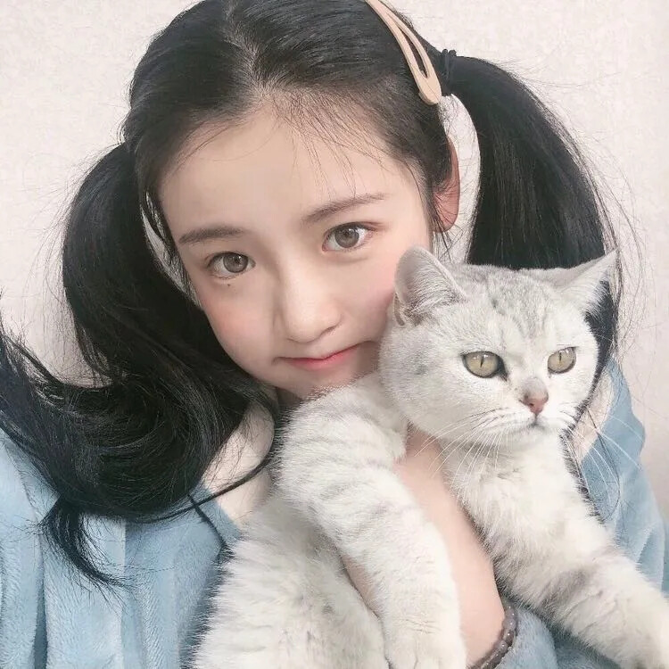 女生头像｜抱猫~