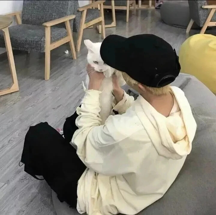 男生头像｜抱猫~