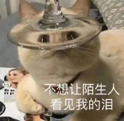 许妄/阮迟