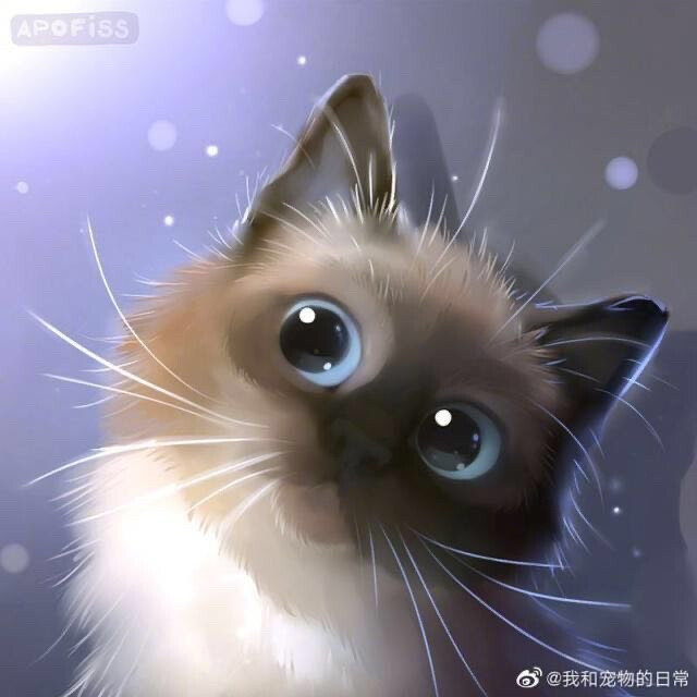 一组萌猫图