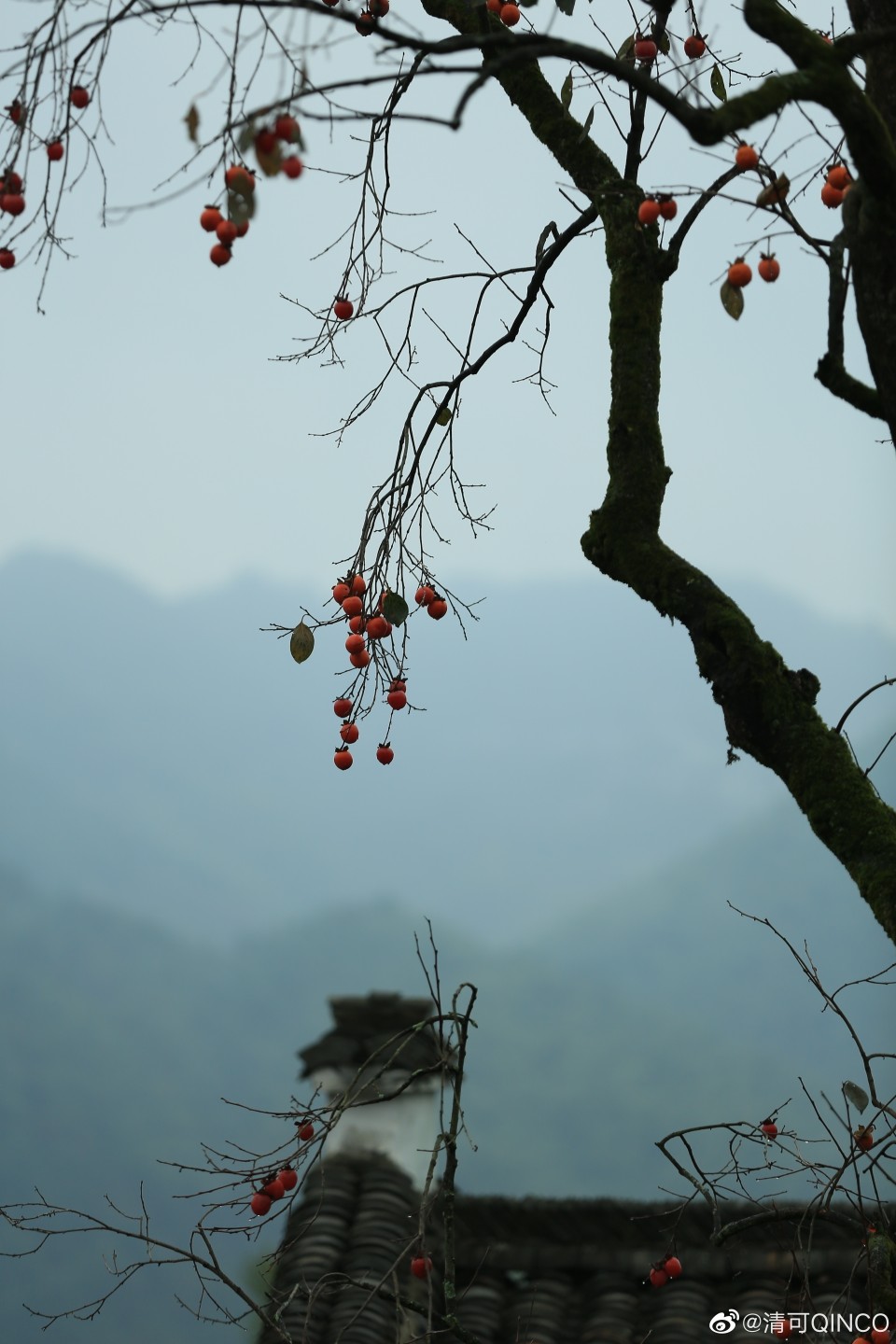 小鎮(zhèn)生活