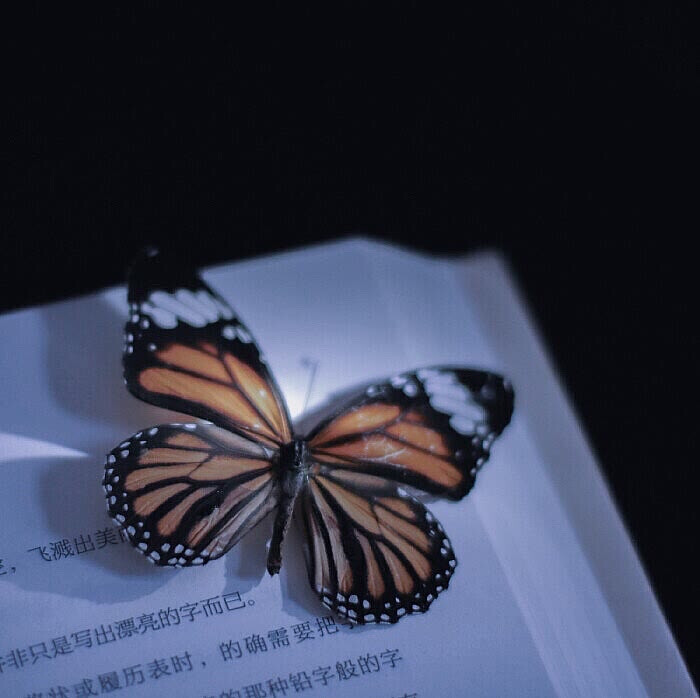 • 崔然竣
· Lynne