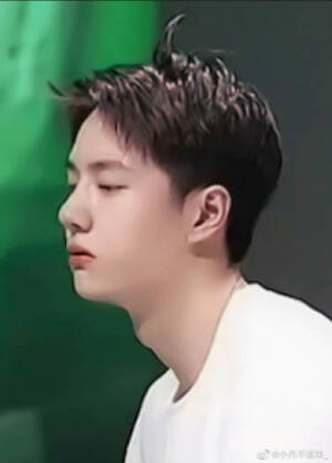 可可爱爱一博博