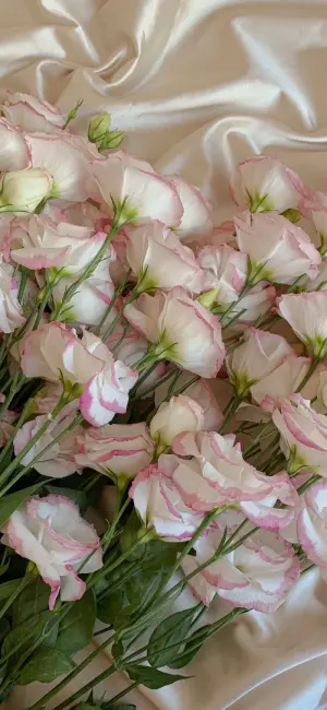 花束壁纸 堆糖 美图壁纸兴趣社区