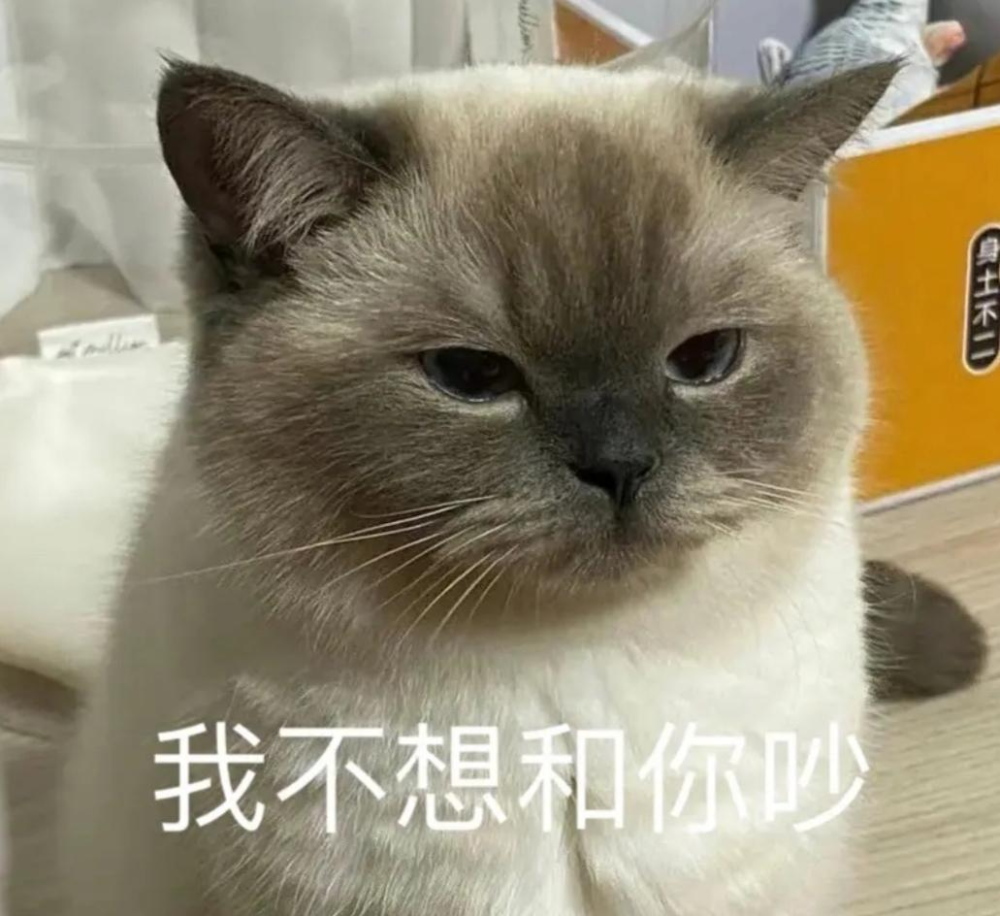 煤炭猫