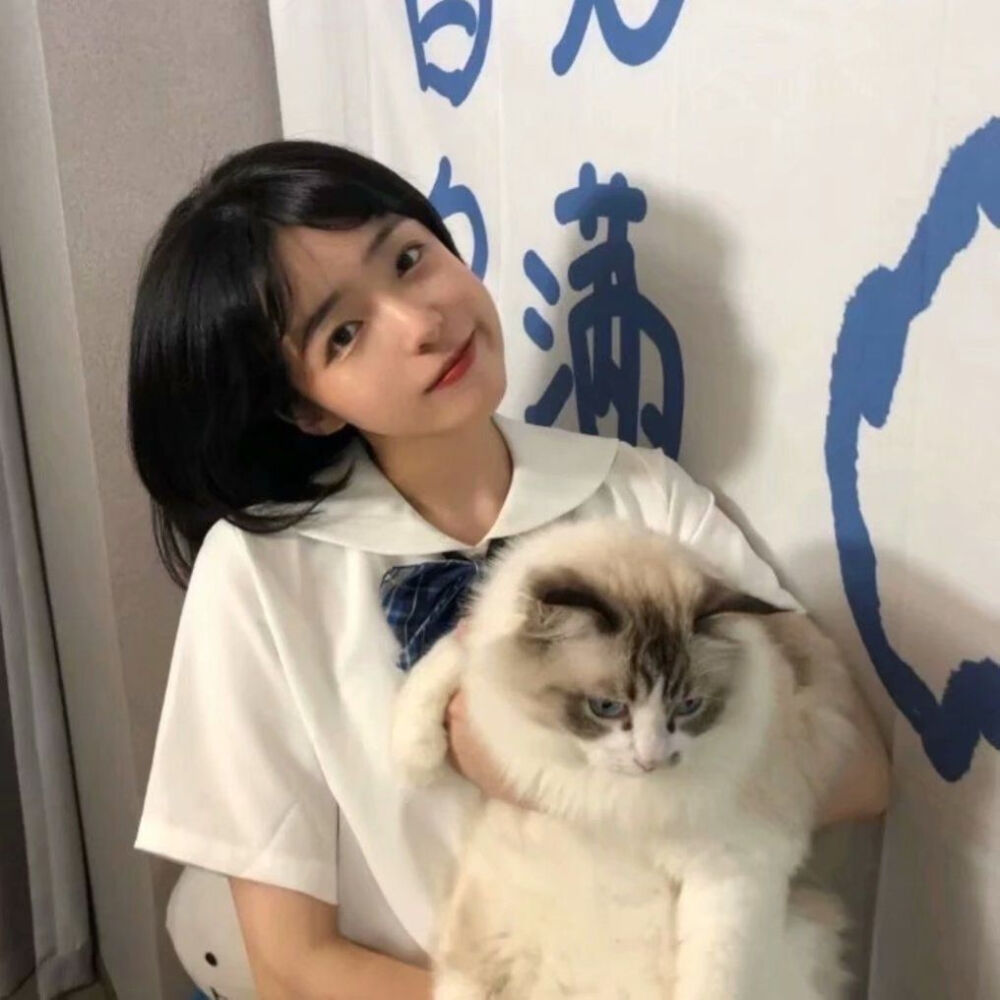 女生头像 抱猫