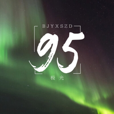 95天选