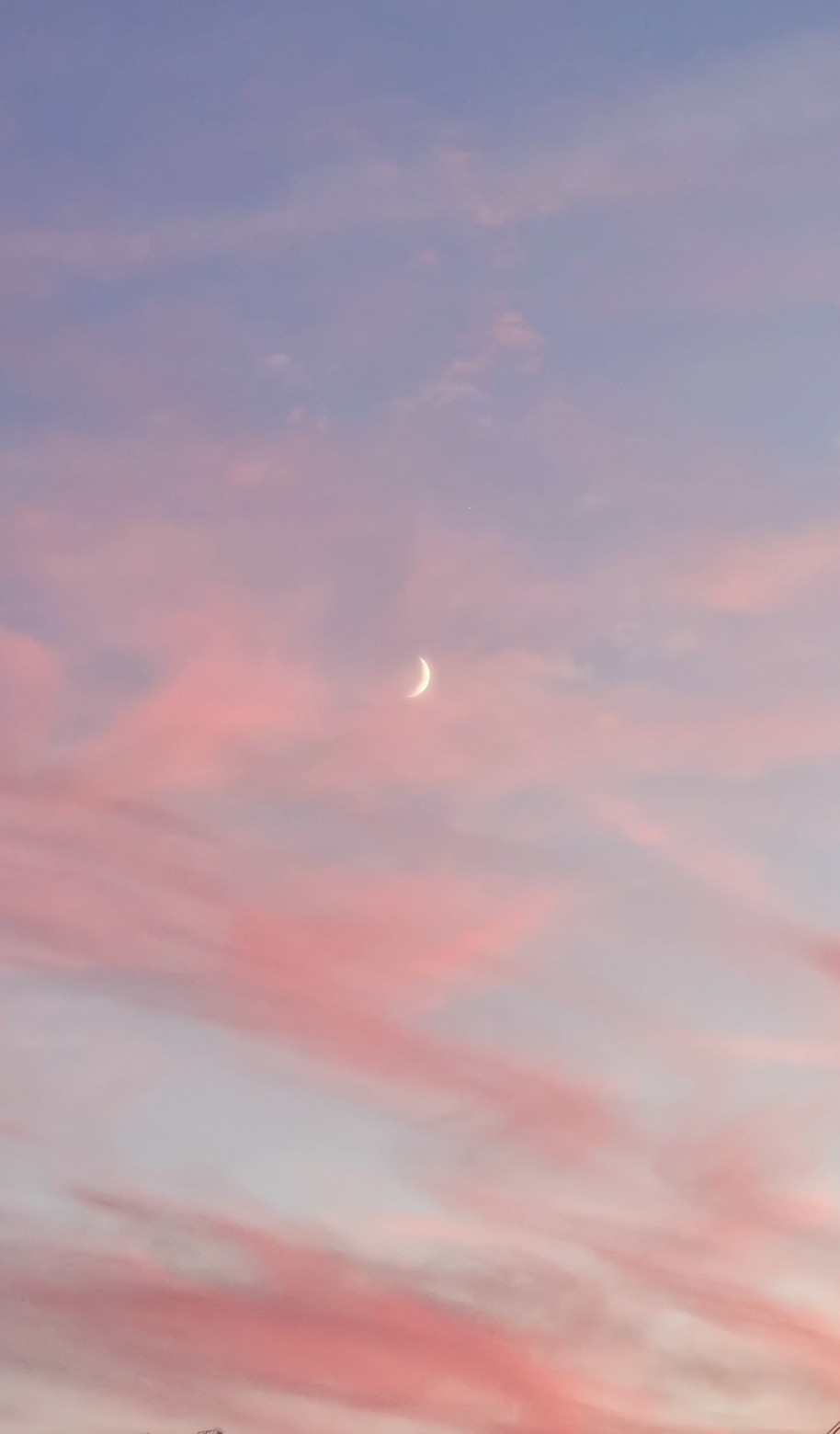 “雲與月”
（自己拍的）
礼拿