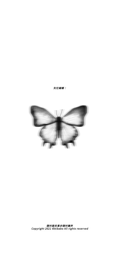 蝴蝶壁纸 Beautiful Butterfly
图片来源：无汽阿禧