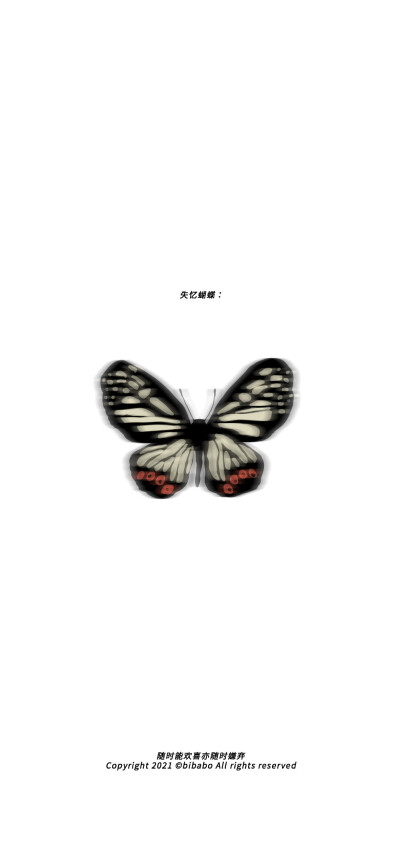 蝴蝶壁纸 Beautiful Butterfly
图片来源：无汽阿禧