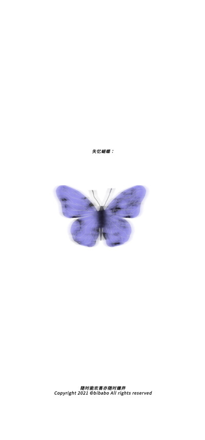 蝴蝶壁纸 Beautiful Butterfly
图片来源：无汽阿禧