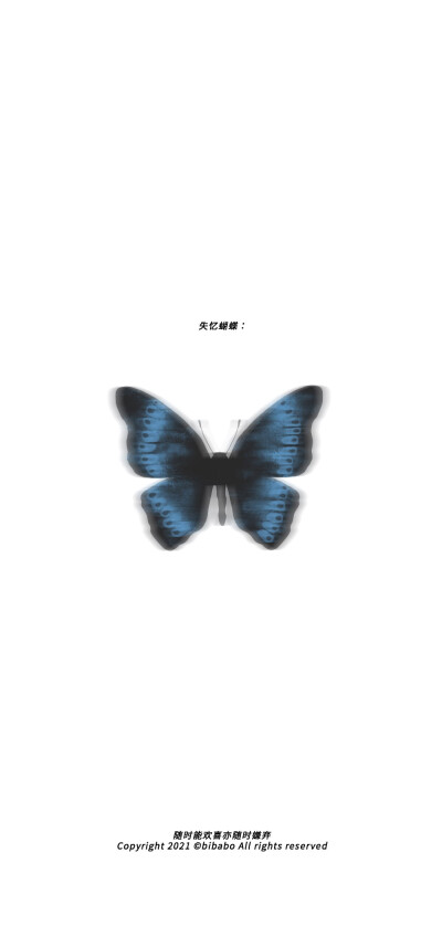 蝴蝶壁纸 Beautiful Butterfly
图片来源：无汽阿禧