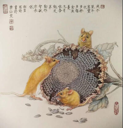 花鸟，国画