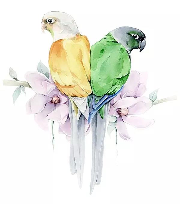 澳大利亚的艺术家--Polina Bright