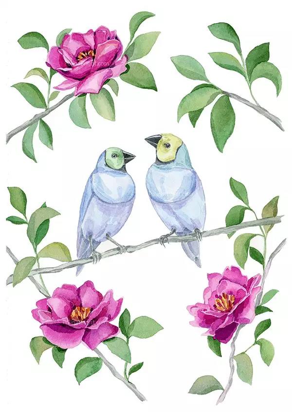 澳大利亚的艺术家--Polina Bright