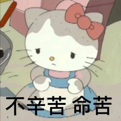 可爱 表情包