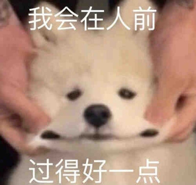 可爱 表情包