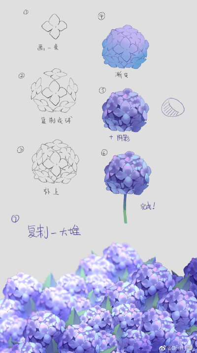 花卉、风景绘画参考
网络收集各种绘画模板，版权归作者所有