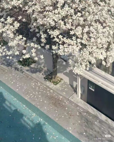 背景/图源小红书